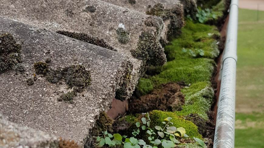 Réparation et pose de gouttières